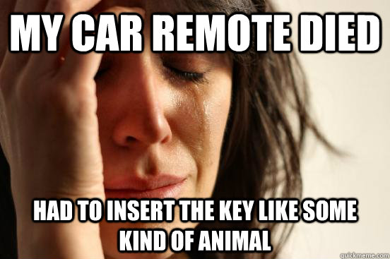 My car remote died Had to insert the key like some kind of animal - My car remote died Had to insert the key like some kind of animal  First World Problems