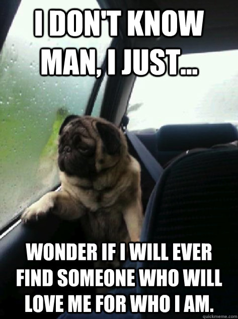 I don't know man, I just... Wonder if I will ever find someone who will love me for who I am.  Introspective Pug