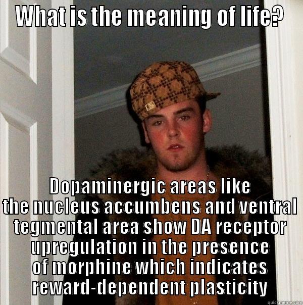 WHAT IS THE MEANING OF LIFE? DOPAMINERGIC AREAS LIKE THE NUCLEUS ACCUMBENS AND VENTRAL TEGMENTAL AREA SHOW DA RECEPTOR UPREGULATION IN THE PRESENCE OF MORPHINE WHICH INDICATES REWARD-DEPENDENT PLASTICITY Scumbag Steve