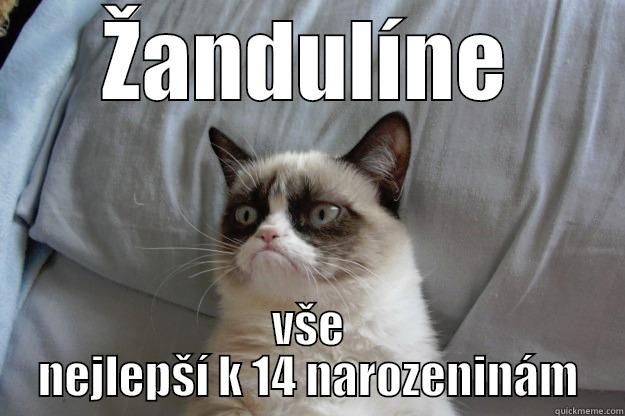 ŽANDULÍNE VŠE NEJLEPŠÍ K 14 NAROZENINÁM Grumpy Cat