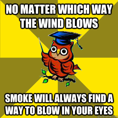 no matter which way the wind blows smoke will always find a way to blow in your eyes - no matter which way the wind blows smoke will always find a way to blow in your eyes  Observational Owl