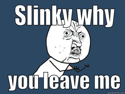   SLINKY WHY    YOU LEAVE ME Y U No