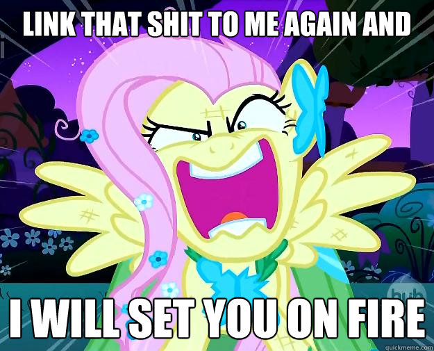 Link that shit to me again and I will set you on fire - Link that shit to me again and I will set you on fire  Rage Fluttershy