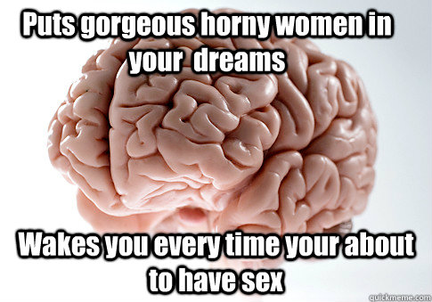 Puts gorgeous horny women in your  dreams Wakes you every time your about to have sex   Scumbag Brain