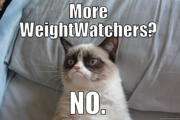 MORE WEIGHTWATCHERS? NO. Grumpy Cat