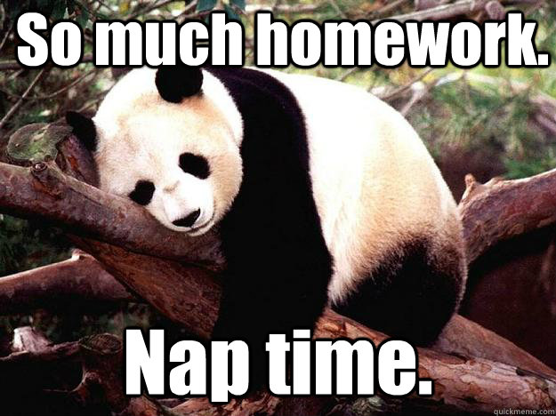 So much homework.  Nap time.   Procrastination Panda