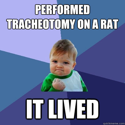 Performed tracheotomy on a rat it lived  Success Kid