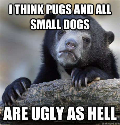 I think pugs and all small dogs are ugly as hell   Confession Bear