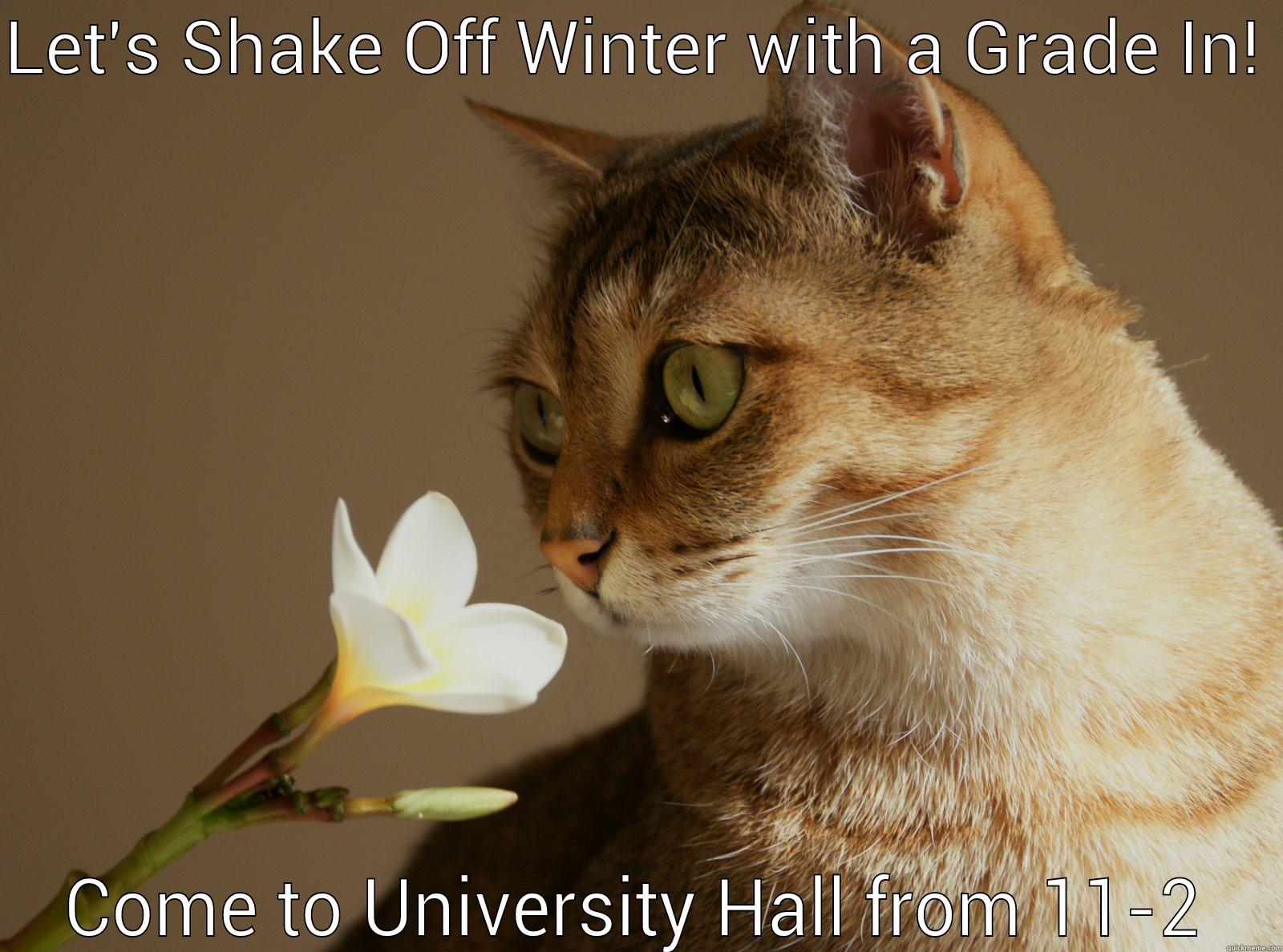 kitty with a flower - LET'S SHAKE OFF WINTER WITH A GRADE IN!  COME TO UNIVERSITY HALL FROM 11-2 Misc