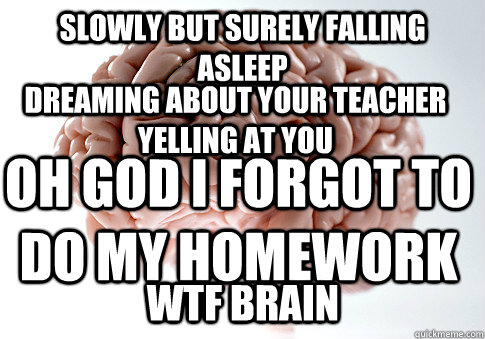 SLOWLY BUT SURELY FALLING ASLEEP DREAMING ABOUT YOUR TEACHER YELLING AT YOU OH GOD I FORGOT TO DO MY HOMEWORK WTF BRAIN - SLOWLY BUT SURELY FALLING ASLEEP DREAMING ABOUT YOUR TEACHER YELLING AT YOU OH GOD I FORGOT TO DO MY HOMEWORK WTF BRAIN  Scumbag Brain