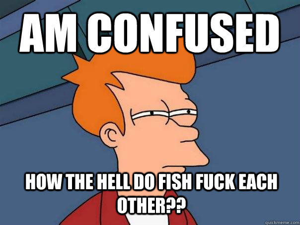 am confused how the hell do fish fuck each other??  Futurama Fry