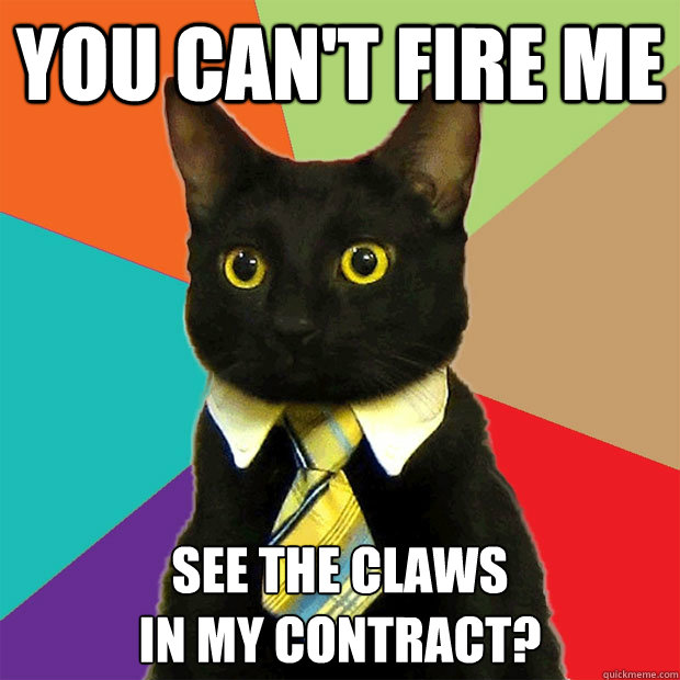 You can't fire me see the claws 
in my contract?  Business Cat