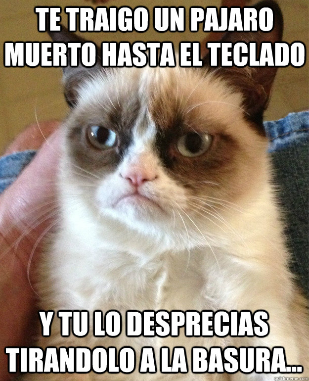 Te traigo un pajaro muerto hasta el teclado y tu lo desprecias tirandolo a la basura...  Grumpy Cat