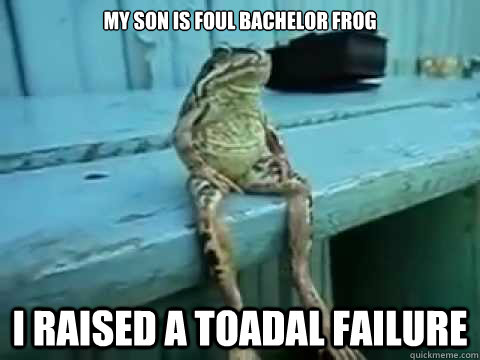 My Son is foul bachelor frog I raised a toadal failure  SITTING FROG