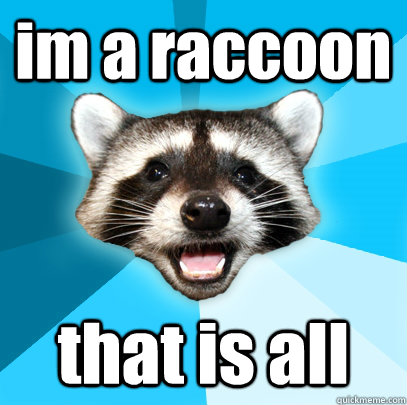 im a raccoon that is all  Lame Pun Coon