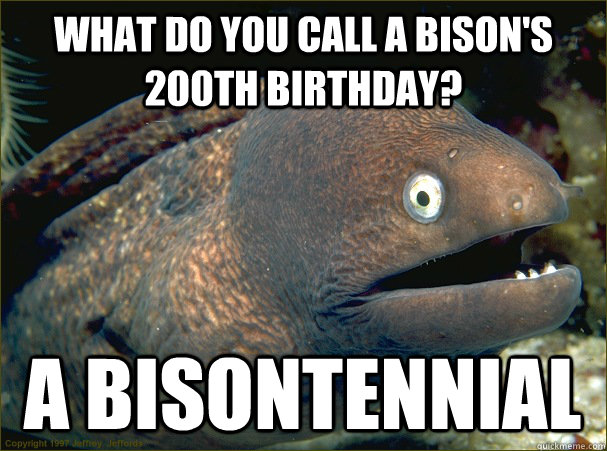 What do you call a bison's 200th birthday? A bisontennial  Bad Joke Eel