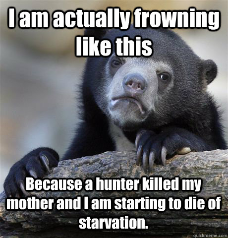 I am actually frowning like this Because a hunter killed my mother and I am starting to die of starvation.  Confession Bear