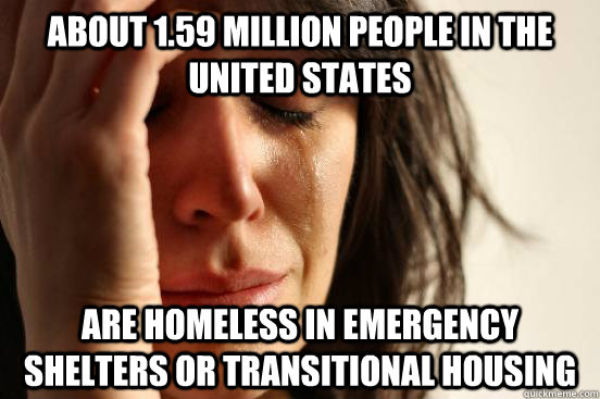 About 1.59 million people in the United States are homeless in emergency shelters or transitional housing  First World Problems