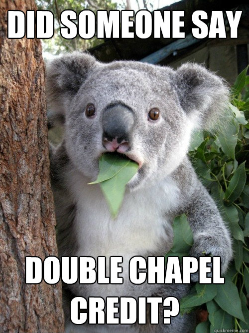 Did someone say double chapel credit? - Did someone say double chapel credit?  koala bear