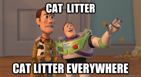 cat  litter cat litter everywhere  Toy Story Everywhere