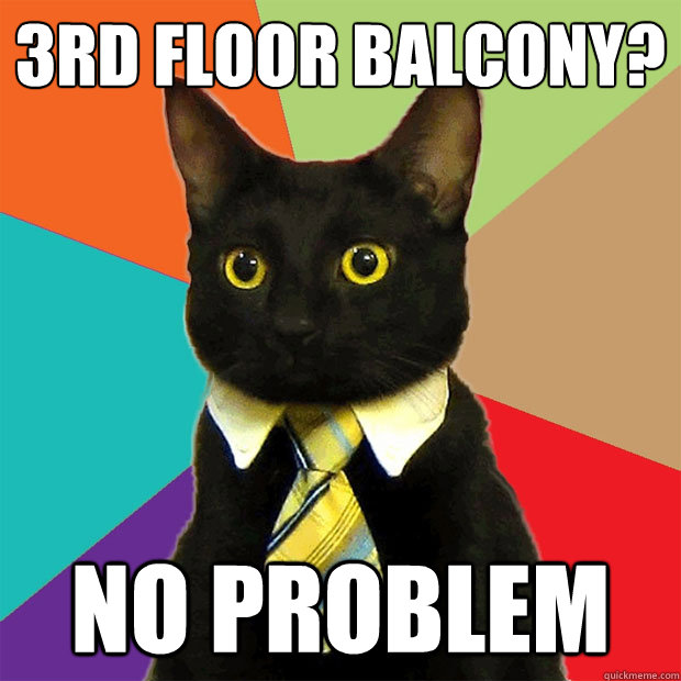 3rd floor balcony? no problem  Business Cat