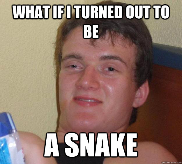 what if i turned out to be  a snake - what if i turned out to be  a snake  10 Guy