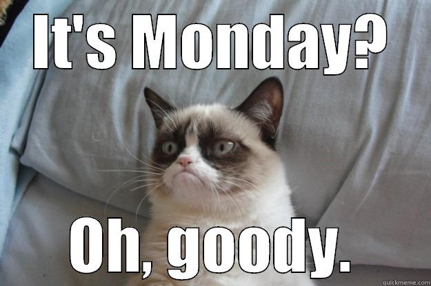 IT'S MONDAY? OH, GOODY. Grumpy Cat