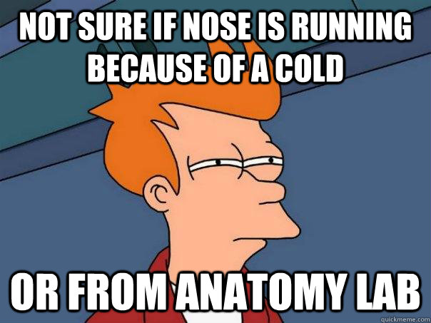 Not sure if nose is running because of a cold Or from anatomy lab  Futurama Fry