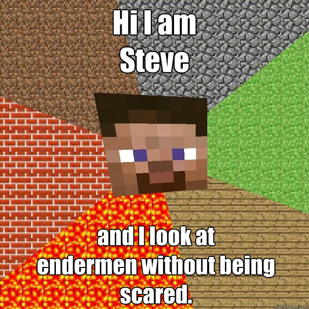 Hi I am 
Steve and I look at 
endermen without being scared.  Minecraft