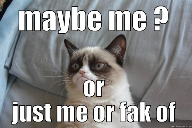 MAYBE ME ? OR JUST ME OR FAK OF Grumpy Cat