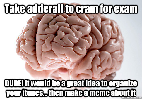 Take adderall to cram for exam DUDE! it would be a great idea to organize your itunes... then make a meme about it  Scumbag Brain