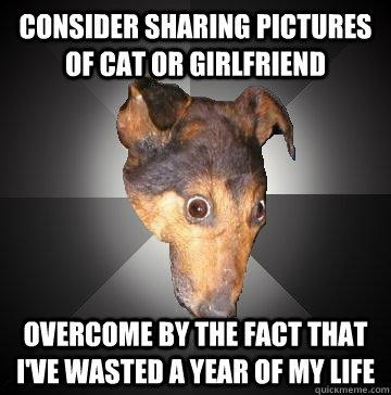 consider sharing pictures of cat or girlfriend overcome by the fact that i've wasted a year of my life  