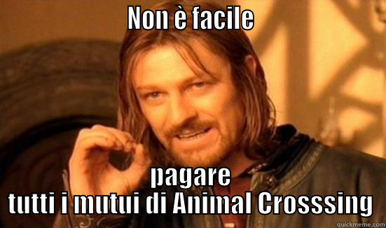                        NON È FACILE                        PAGARE TUTTI I MUTUI DI ANIMAL CROSSSING Boromir