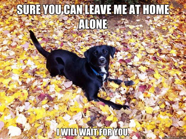 Sure you can leave me at home alone I will wait for you. - Guilt Giving