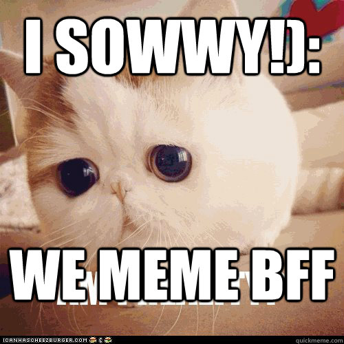 I sowwy!): we meme bff - I sowwy!): we meme bff  I NO SORRY