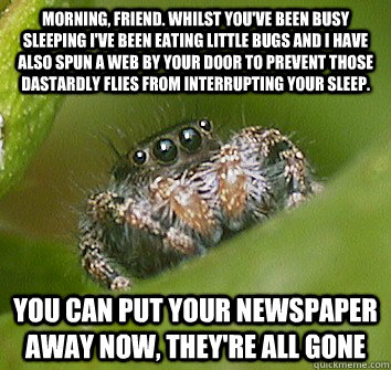 Morning, friend. Whilst you've been busy sleeping I've been eating little bugs and I have also spun a web by your door to prevent those dastardly flies from interrupting your sleep.  You can put your newspaper away now, they're all gone  Misunderstood Spider