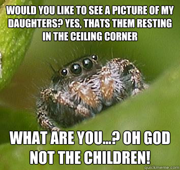 Would you like to see a picture of my daughters? yes, thats them resting in the ceiling corner what are you...? oh god not the children!  Misunderstood Spider