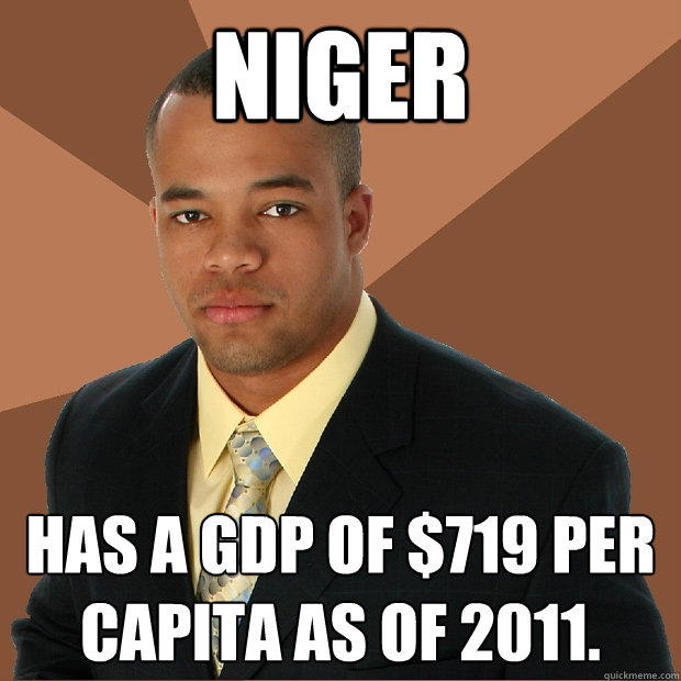 Niger has a GDP of $719 per capita as of 2011.  Successful Black Man