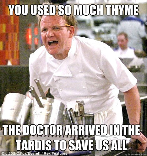 YOU USED SO MUCH THYME THE DOCTOR ARRIVED IN THE TARDIS TO SAVE US ALL  gordon ramsay