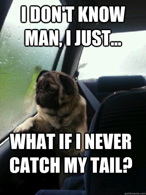 I don't know man, I just... What if I never catch my tail?  Introspective Pug