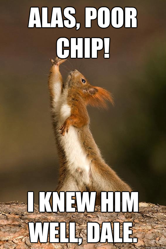 Alas, poor Chip! I knew him well, Dale.  Shakespeare Squirrel