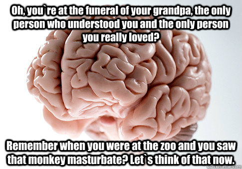 Oh, you`re at the funeral of your grandpa, the only person who understood you and the only person you really loved? Remember when you were at the zoo and you saw that monkey masturbate? Let`s think of that now.  Scumbag Brain