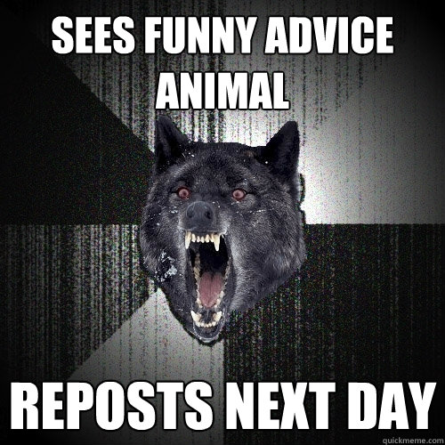 SEES FUNNY ADVICE ANIMAL REPOSTS NEXT DAY  Insanity Wolf