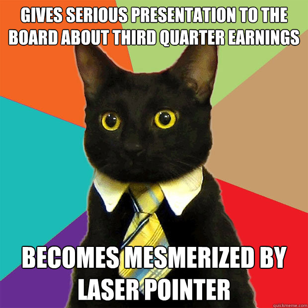 Gives serious presentation to the board about third quarter earnings becomes mesmerized by laser pointer  Business Cat