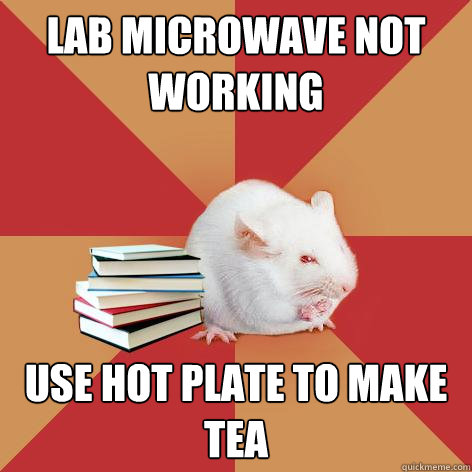 Lab microwave not working use hot plate to make tea - Lab microwave not working use hot plate to make tea  Science Major Mouse