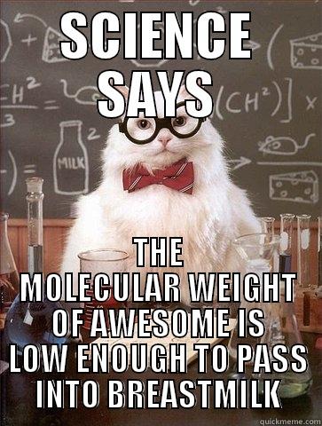 The molecular weight of AWESOME - SCIENCE SAYS THE MOLECULAR WEIGHT OF AWESOME IS LOW ENOUGH TO PASS INTO BREASTMILK Chemistry Cat