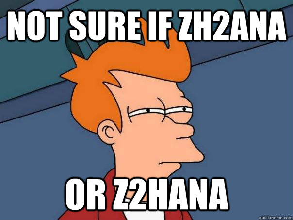 Not sure if zh2ana Or z2hana  Futurama Fry