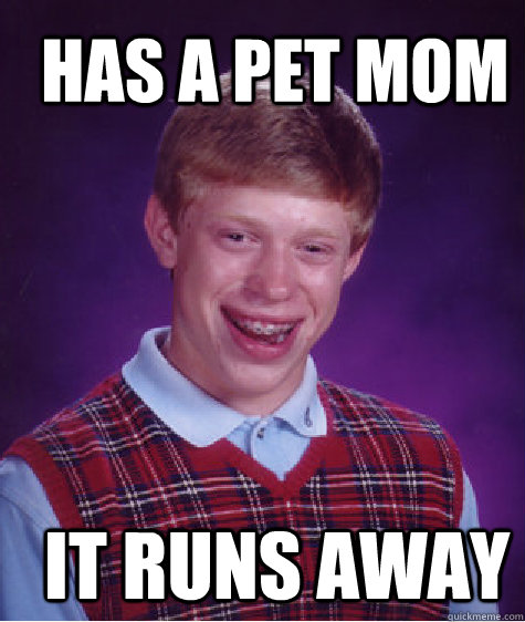   has a pet mom   it runs away -   has a pet mom   it runs away  Bad Luck Brian