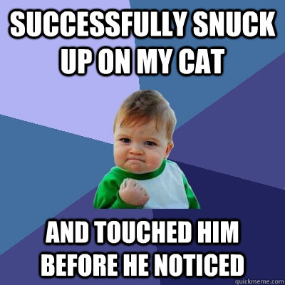 successfully snuck up on my cat and touched him before he noticed  Success Kid