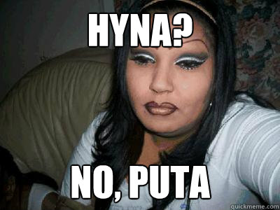 Hyna? No, Puta - Hyna? No, Puta  Misc